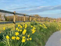 MEDIUM.COM: A Hopeful Easter: From Catholic Ritual to Humanist Reflection
